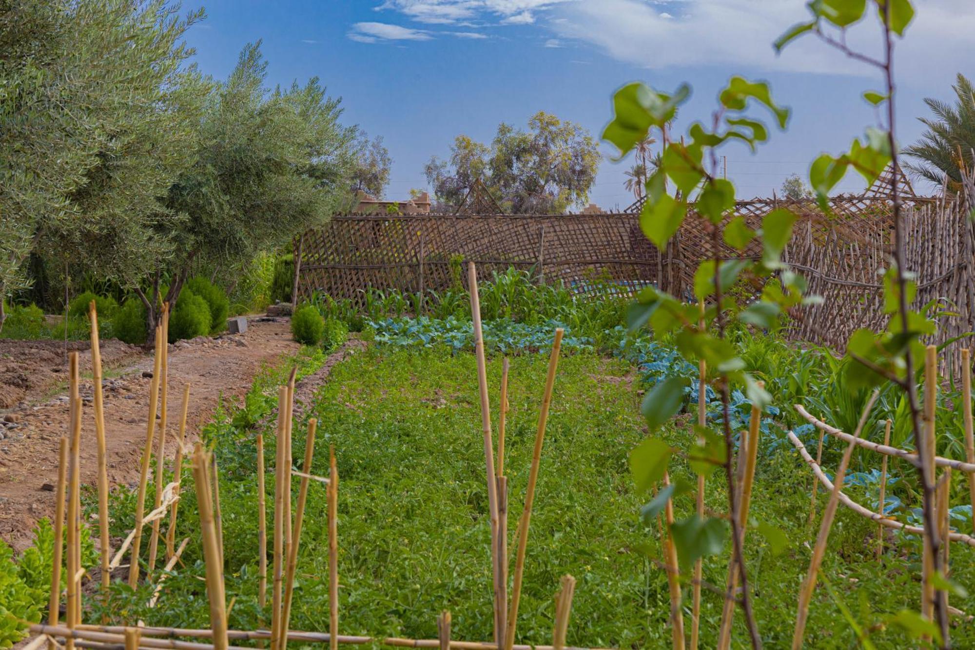 Maison D'hôte Amridil Skoura Extérieur photo
