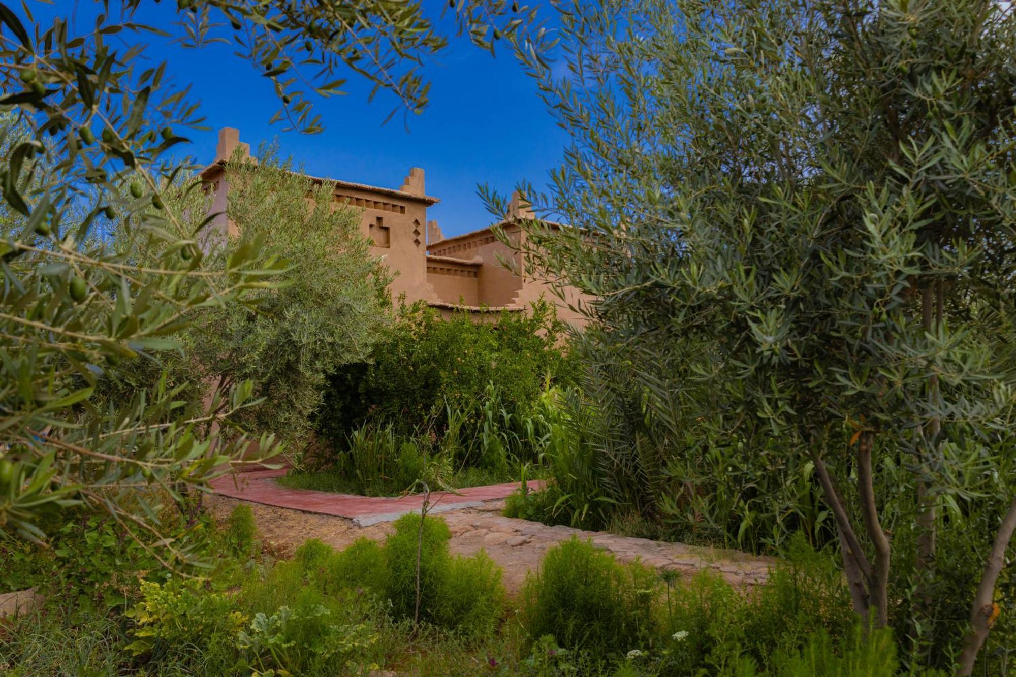 Maison D'hôte Amridil Skoura Extérieur photo